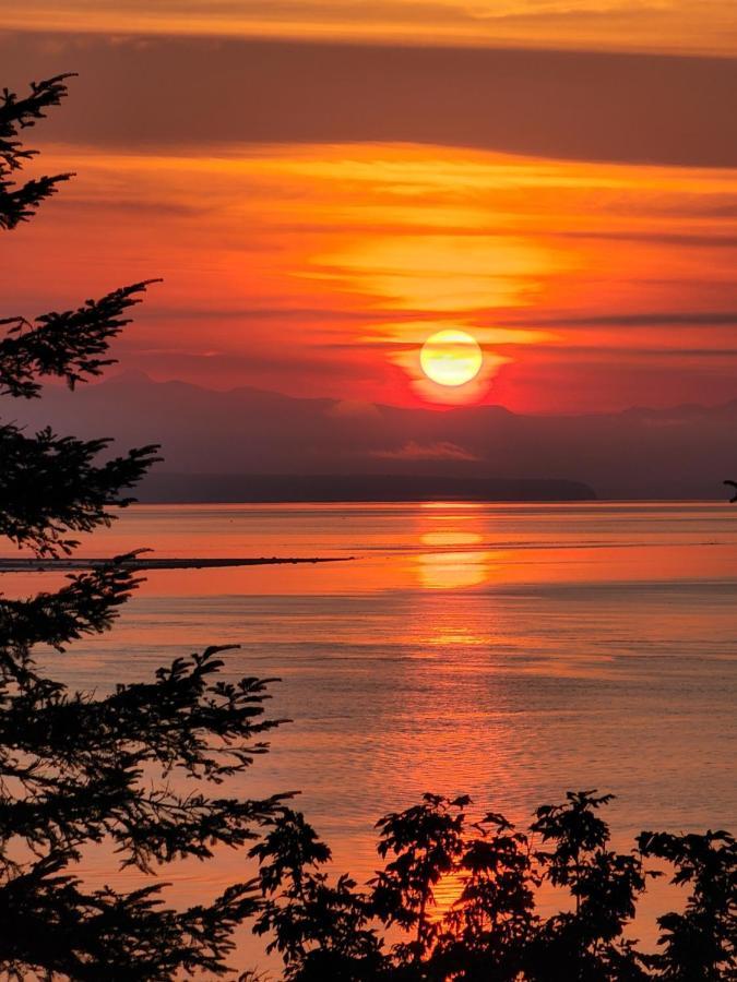 Ocean'S Edge Suite Campbell River Exteriér fotografie